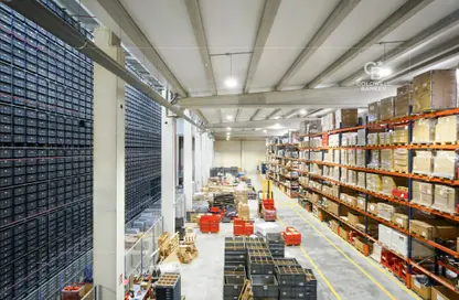 Warehouse - Studio - 3 Bathrooms for sale in Freezone North - Jebel Ali Freezone - Jebel Ali - Dubai