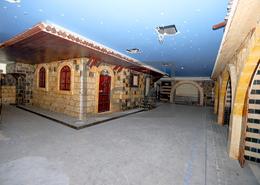 صالة عرض للكراء في أبراج الخالدية - الخالدية - أبوظبي