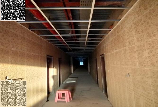 16053319 - Property Image 3