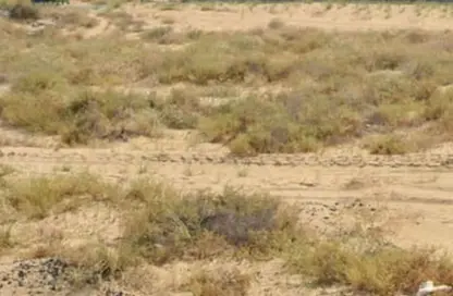 أرض - استوديو للبيع في حوشي 1 - حوشي - البادي - الشارقة أرض - استوديو للبيع في حوشي 1 - حوشي - البادي - الشارقة