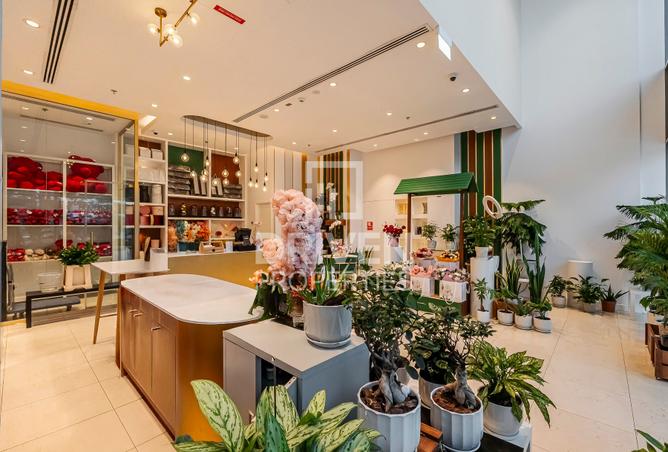 16000412 - Property Image 2