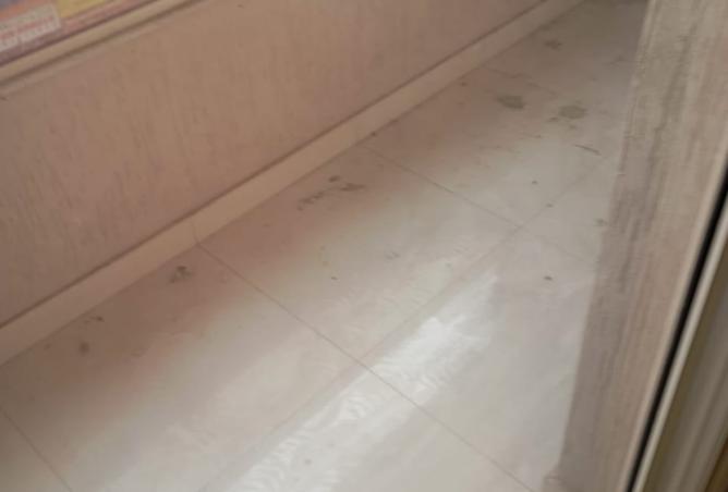 15903264 - الصورة الرئيسية للعقار