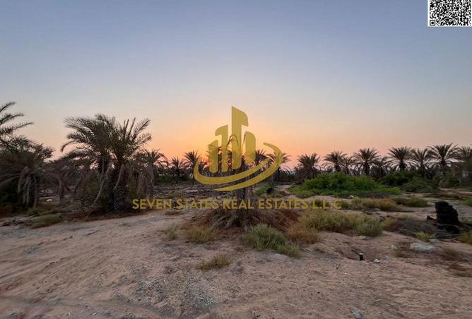 15337467 - صورة العقار 3