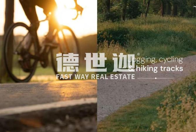 16083344 - Property Image 3