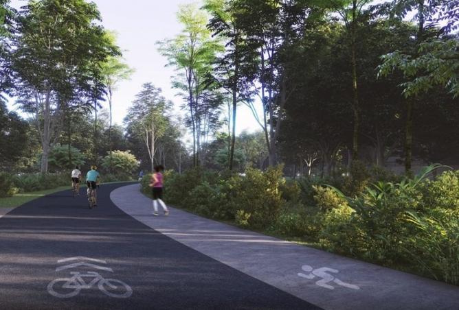 15573962 - Property Image 3