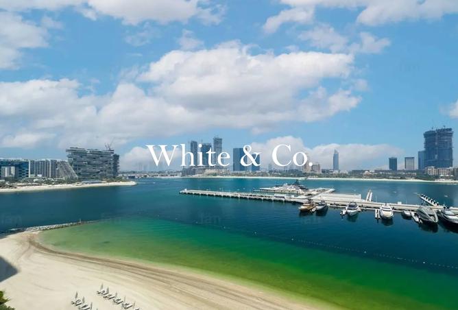 15293858 - Property Image 2