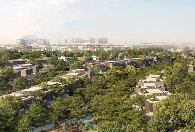 15984613 - صورة العقار 3