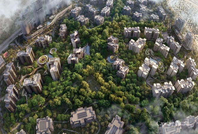 16056475 - Property Image 3