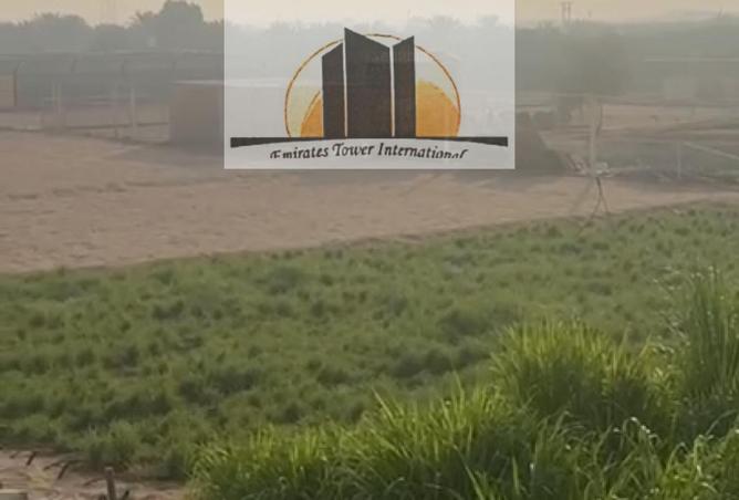 15903462 - صورة العقار 2