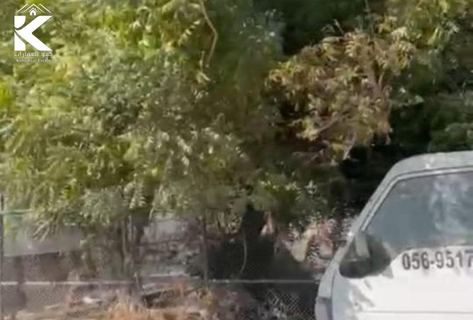 14793035 - Property Image 3