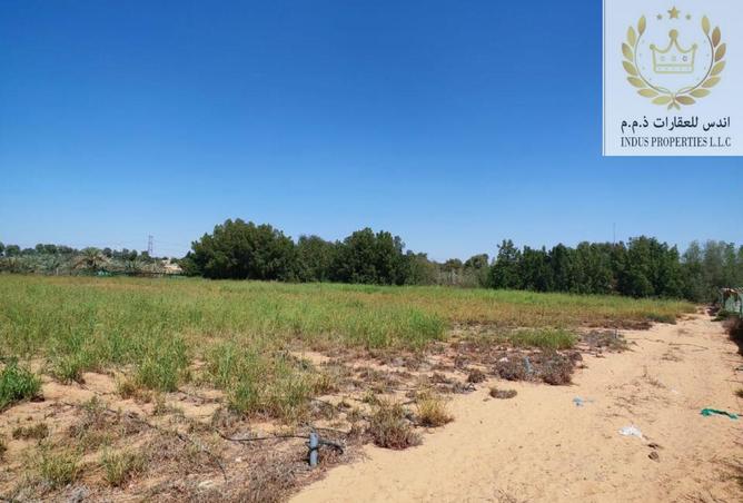 15391468 - Property Image 3