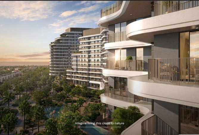 15883976 - Property Image 3