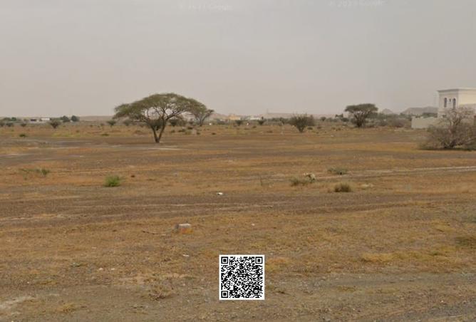 15975804 - Property Image 3