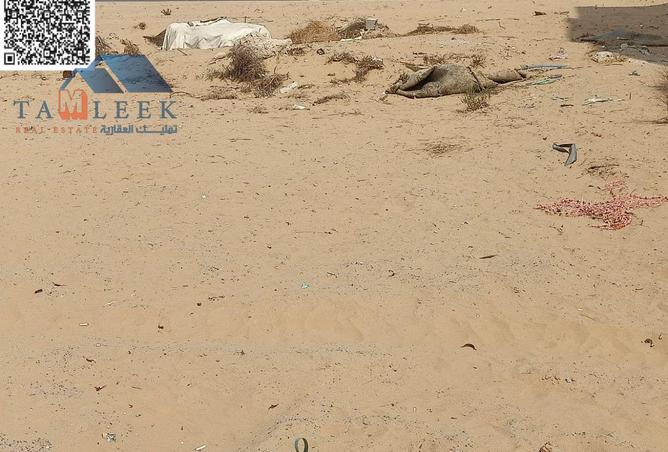 15533493 - Property Image 2