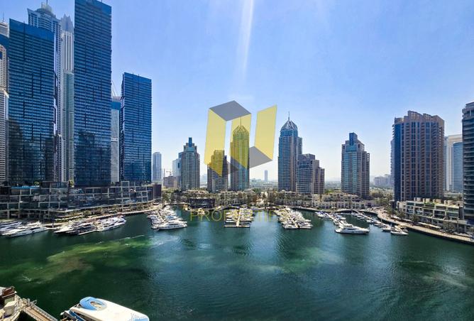 14451795 - صورة العقار 2