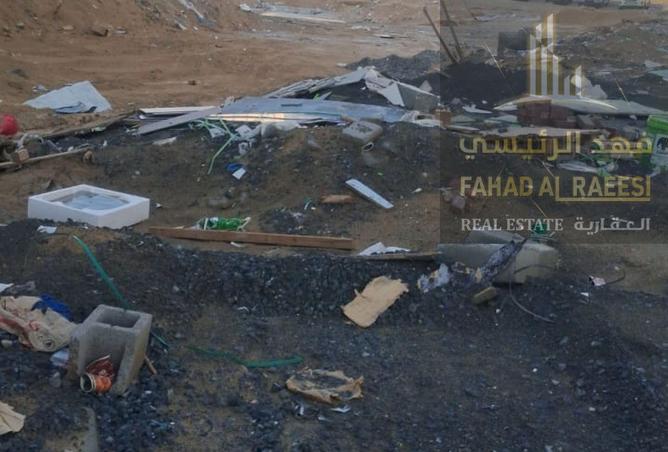 15956516 - Property Image 3