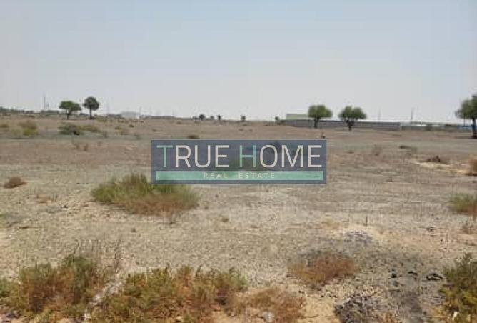 15794796 - صورة العقار 2