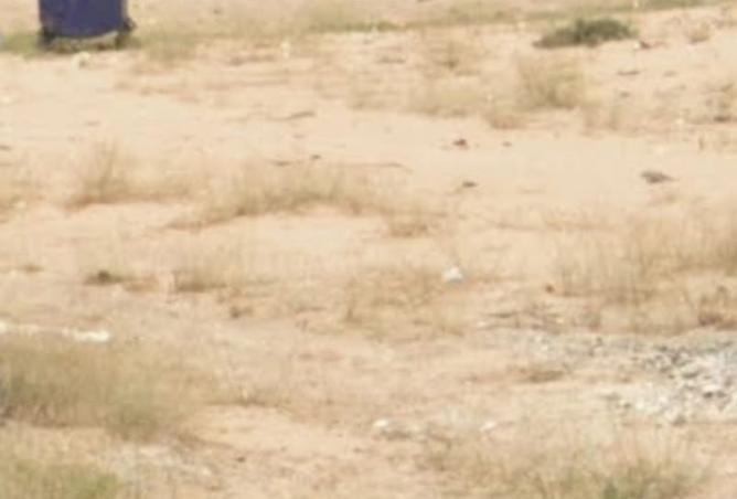 15823762 - Property Main Image