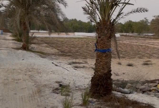 15561956 - Property Main Image