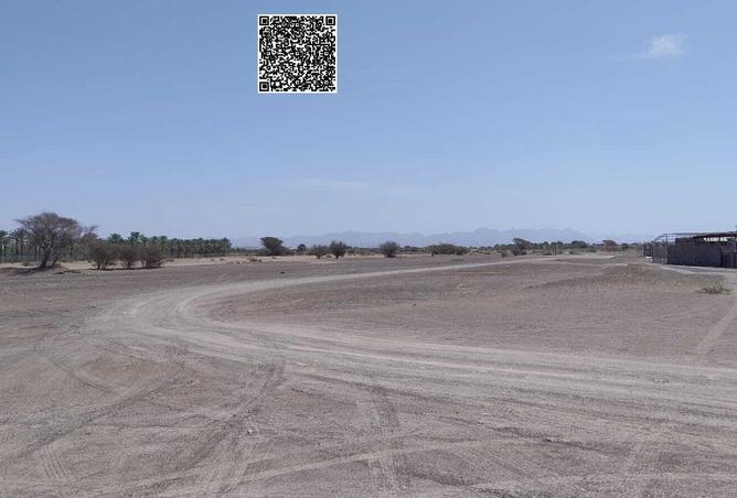 15651287 - Property Image 2