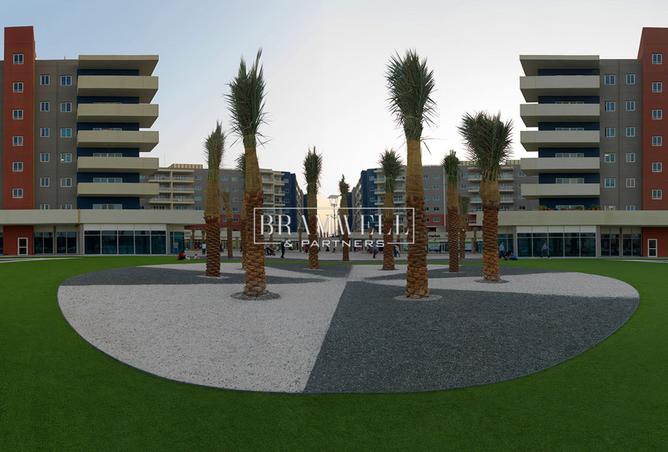 16010853 - صورة العقار 2