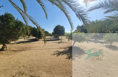 Farm - Studio for sale in Al Rahba - Abu Dhabi