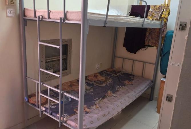 15683780 - Property Image 3