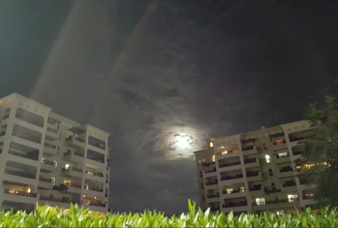 15404352 - صورة العقار 2