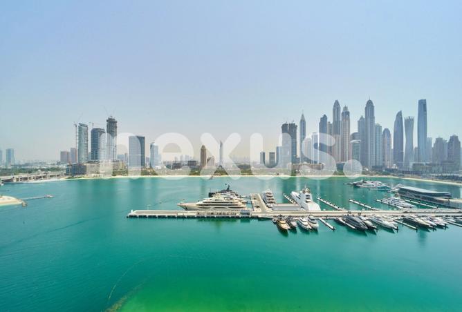 15239487 - صورة العقار 2