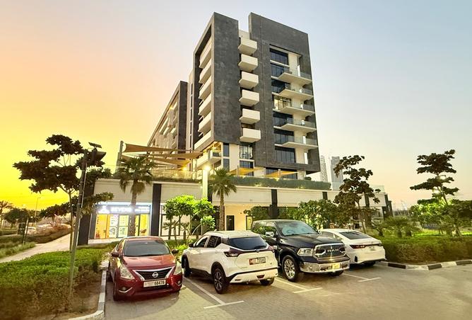 16073566 - Property Image 2