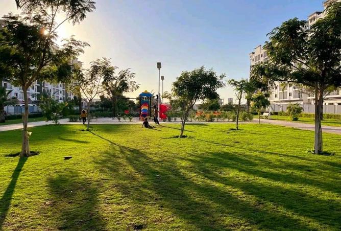 15907367 - صورة العقار 2