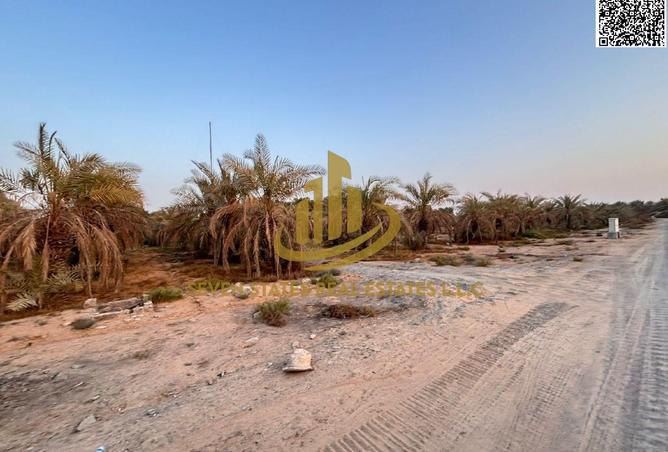15342168 - Property Image 3
