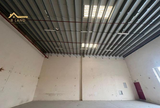 15552032 - Property Image 3