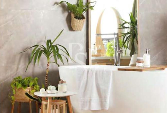 15930958 - صورة العقار 3