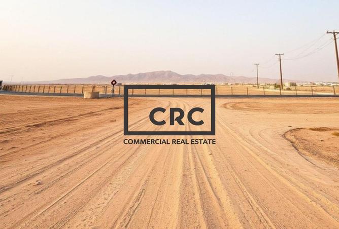 14122426 - Property Image 2