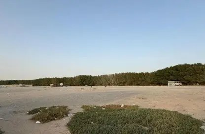 أرض - استوديو للايجار في المنطقة الصناعية رقم 17 - المنطقة الصناعية بالشارقة - الشارقة