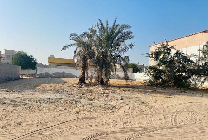 15641349 - صورة العقار 3