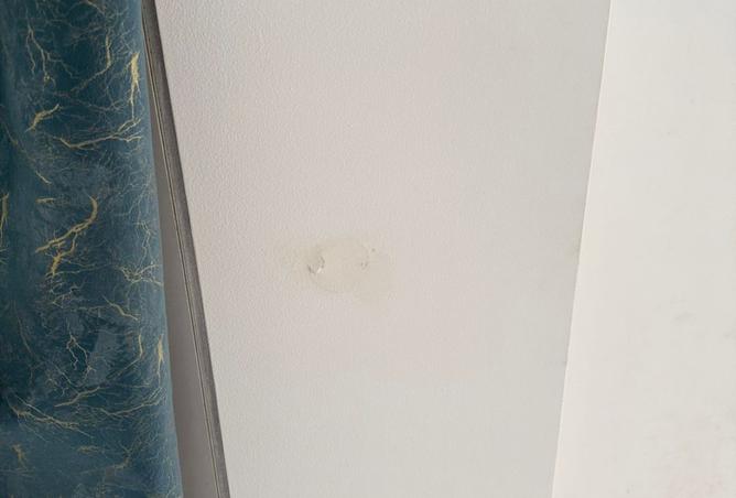 15617561 - Property Image 3