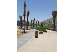Townhouse - 3 bedrooms - 4 bathrooms for rent in Warsan Village - International City - Dubai