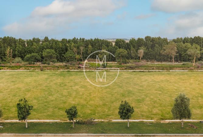 14958735 - Property Image 3