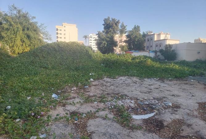 16069025 - Property Image 2