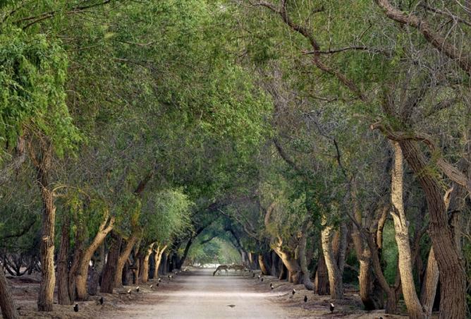 15728206 - Property Image 2