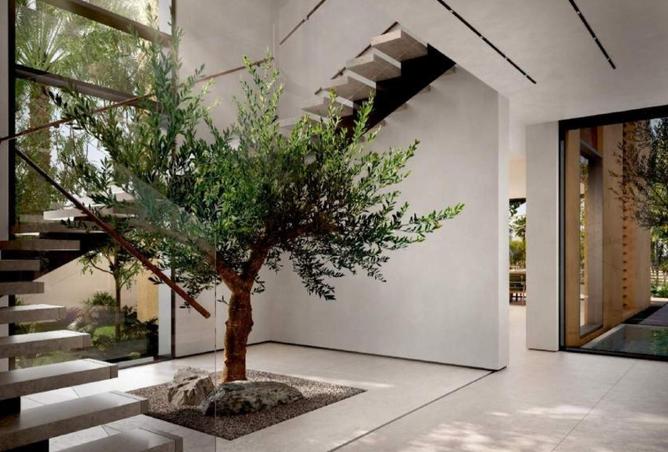 16088848 - صورة العقار 2