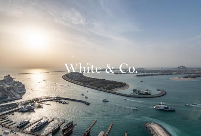 16072593 - Property Image 2