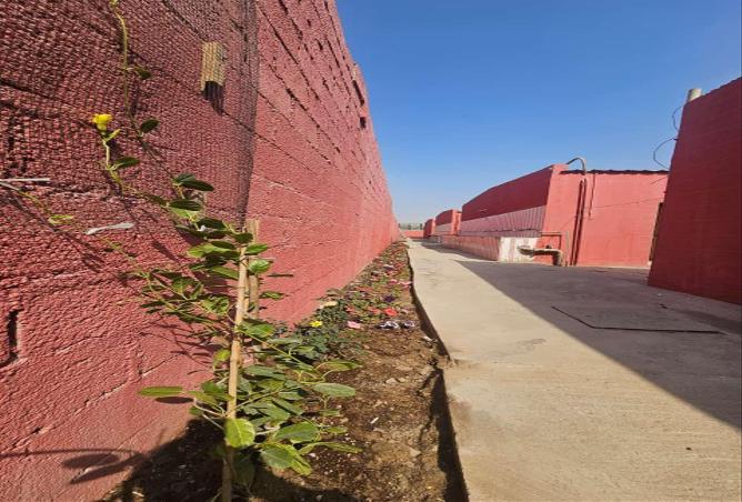 15830989 - صورة العقار 2