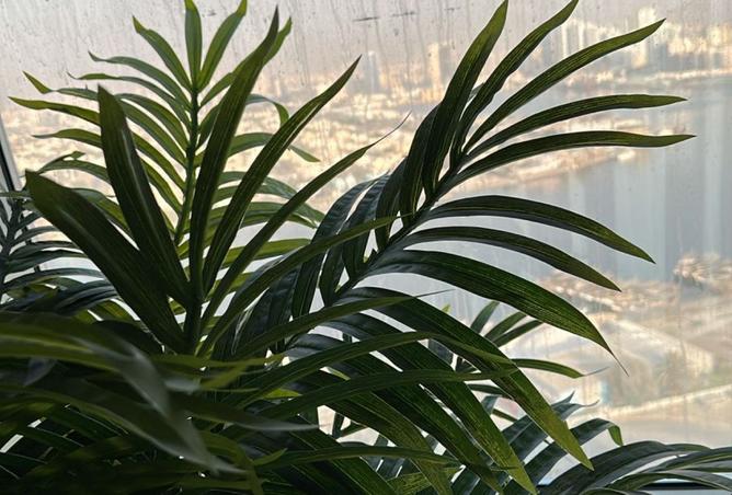 15746596 - صورة العقار 3