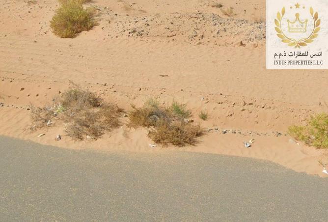 15367064 - صورة العقار 3
