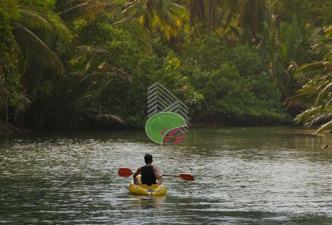 15162419 - Property Image 2