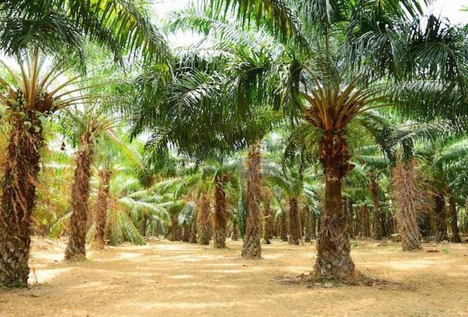 15397326 - Property Image 3