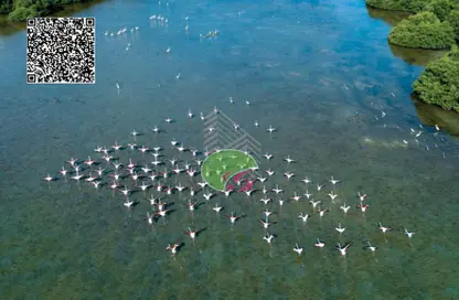 شقة - غرفة نوم - 2 حمامات للبيع في الخور - الزورا - عجمان